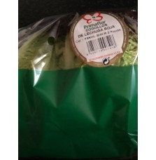Cogollos de Lechuga Roja...