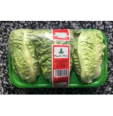 Cogollos Lucas (3 und)
