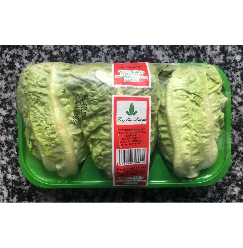 Cogollos Lucas (3 und)