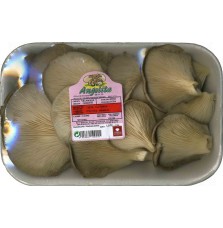 Setas (400 g) Angelita