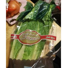 Lechuga Lucas