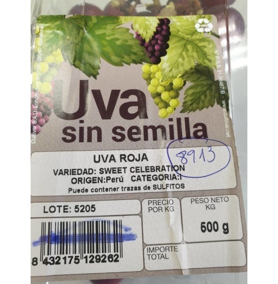 Uva blanca sin semilla Cultivar
