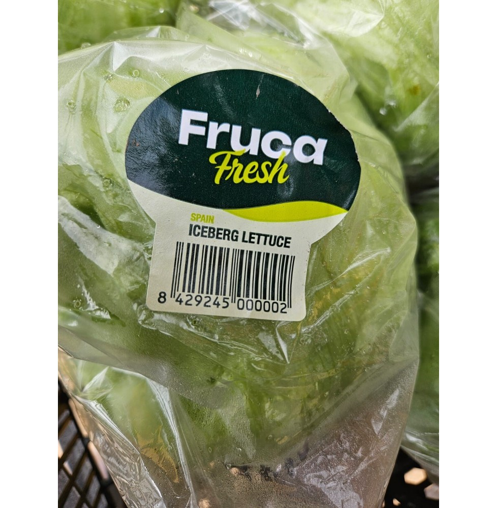 Lechuga para Ensalada Variedad de Iceberg Fruca 1 ud