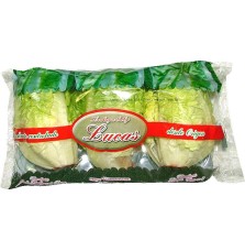 Lechuga baby Lucas