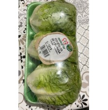 Cogollos de lechuga (3...