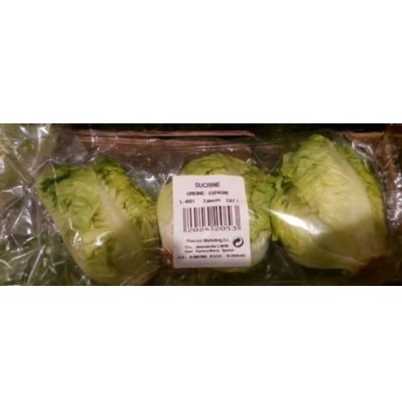 Lechuga para Ensalada Sucrine  PRIMAFLOR